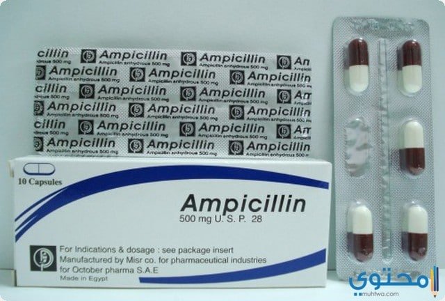 أمبيسلين Ampicillin كبسولات مضاد حيوي