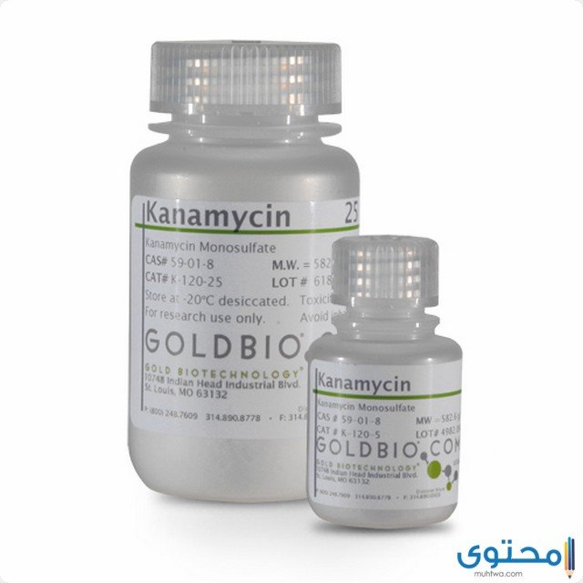 كاناميسين Kanamycin مضاد حيوي للقضاء على البكتيريا