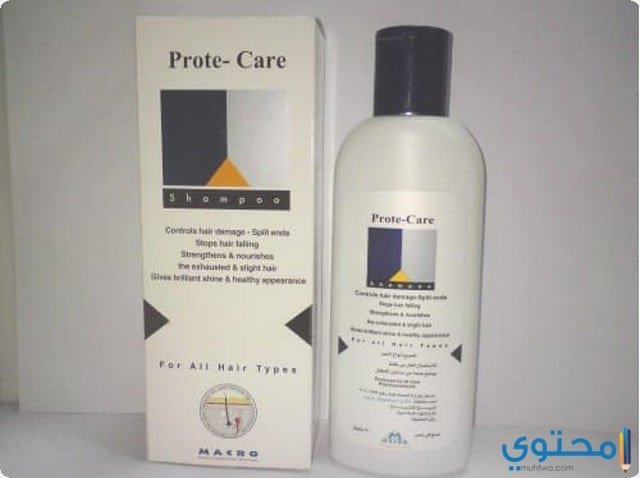 بروتي كير Prote Care شامبو للشعر الجاف والعادي