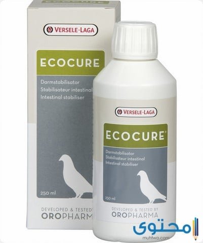 ايكو كيور ECO CURE لعلاج أمراض الجلد